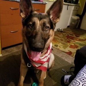 Meet your Posher, Sonia